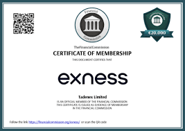 How to Download Exness MT4 on PC - Exness MT4 PC Download